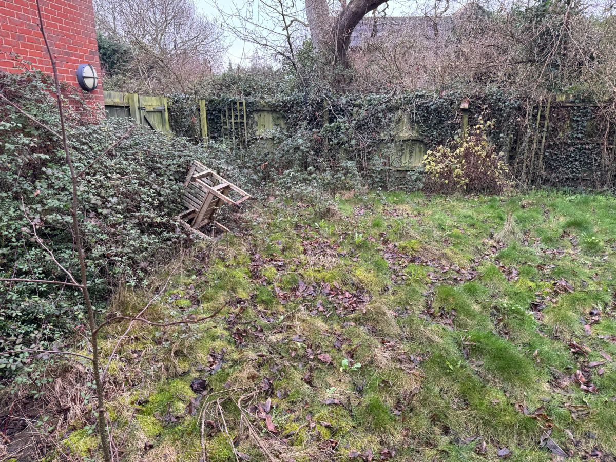 The overgrown back garden, with a broken chair lying in the brambles
