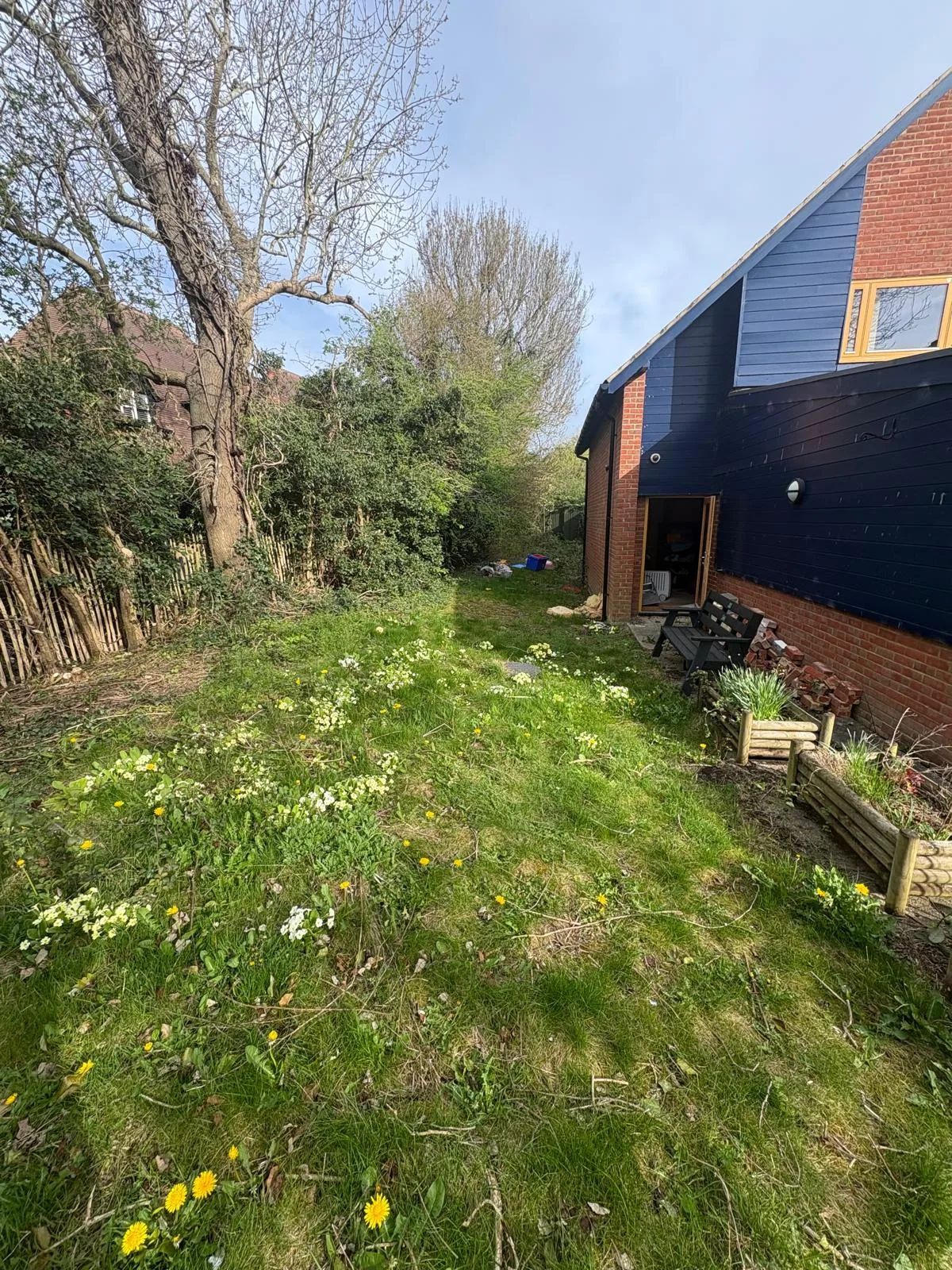 The overgrown side garden, with trees and hedges grown wild